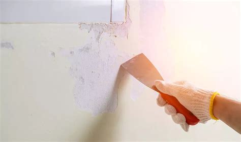 What to Clean Walls With Before Painting: A Detailed Discussion with Multiple Perspectives