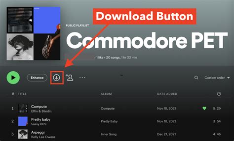 where does spotify download music on pc if you have no internet connection